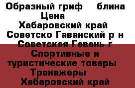 EZ – Образный гриф  2 блина  › Цена ­ 6 000 - Хабаровский край, Советско-Гаванский р-н, Советская Гавань г. Спортивные и туристические товары » Тренажеры   . Хабаровский край